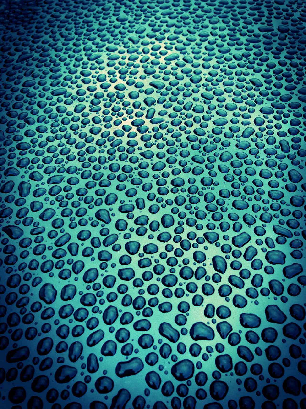 Vaxat biltak filter