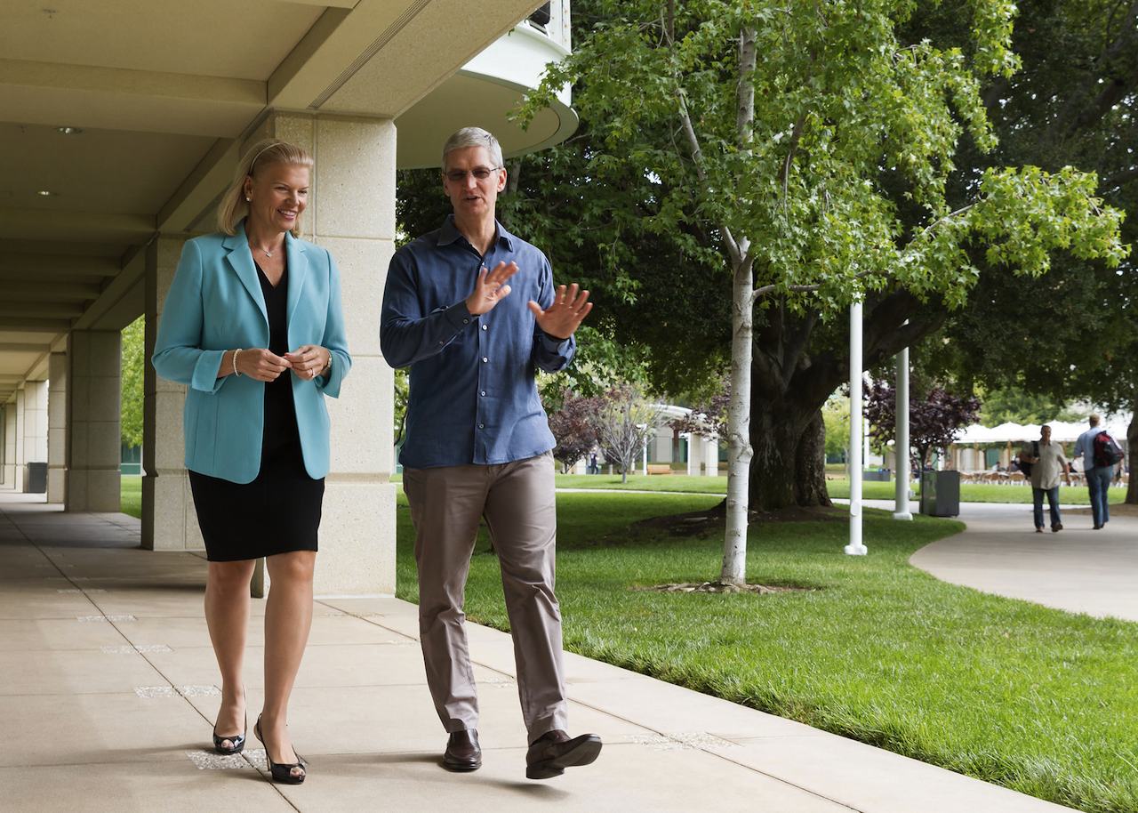Virginia Rometty CEO IBM Tim Cook CEO Apple