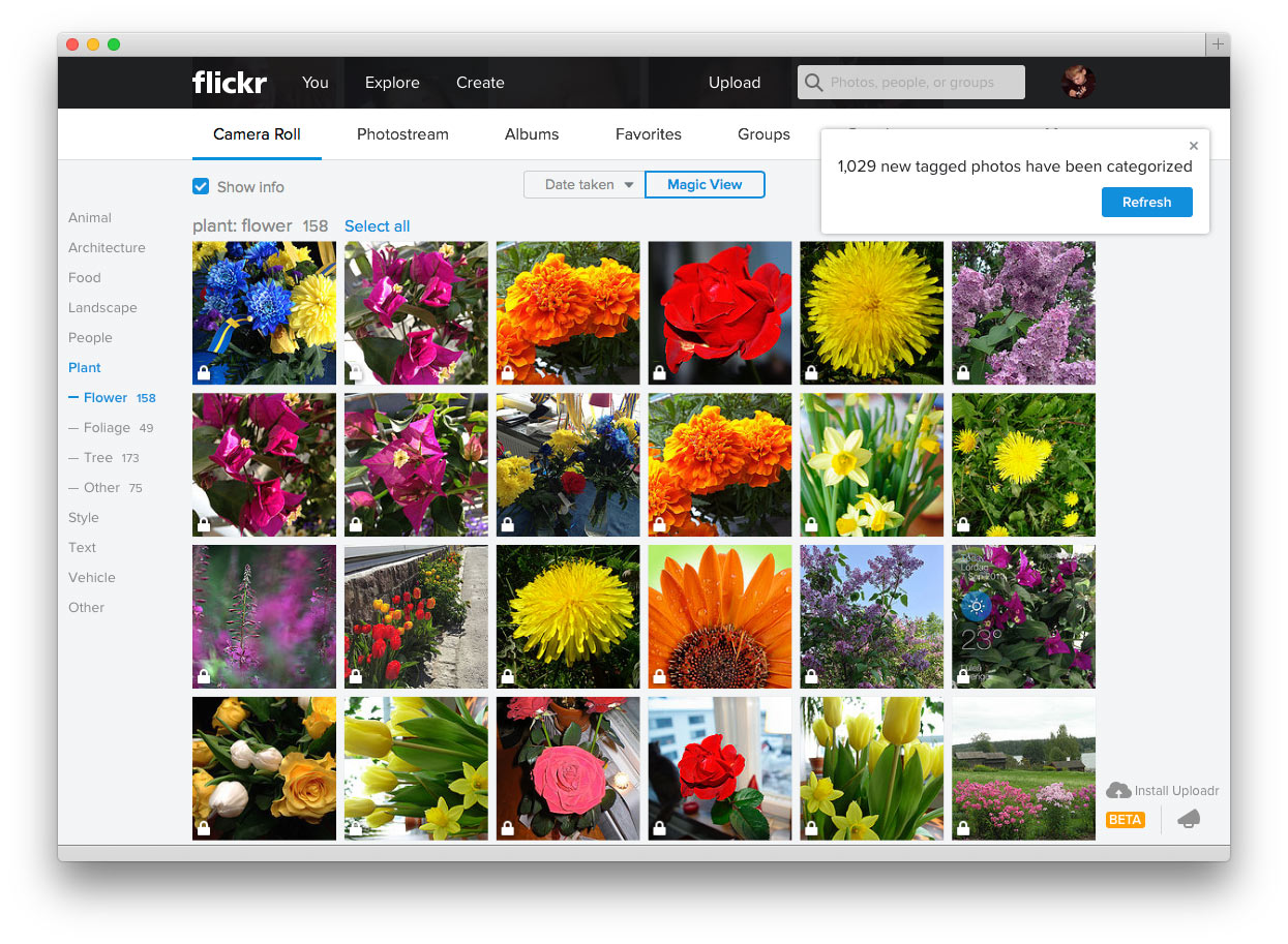 OS X Flickr magic view
