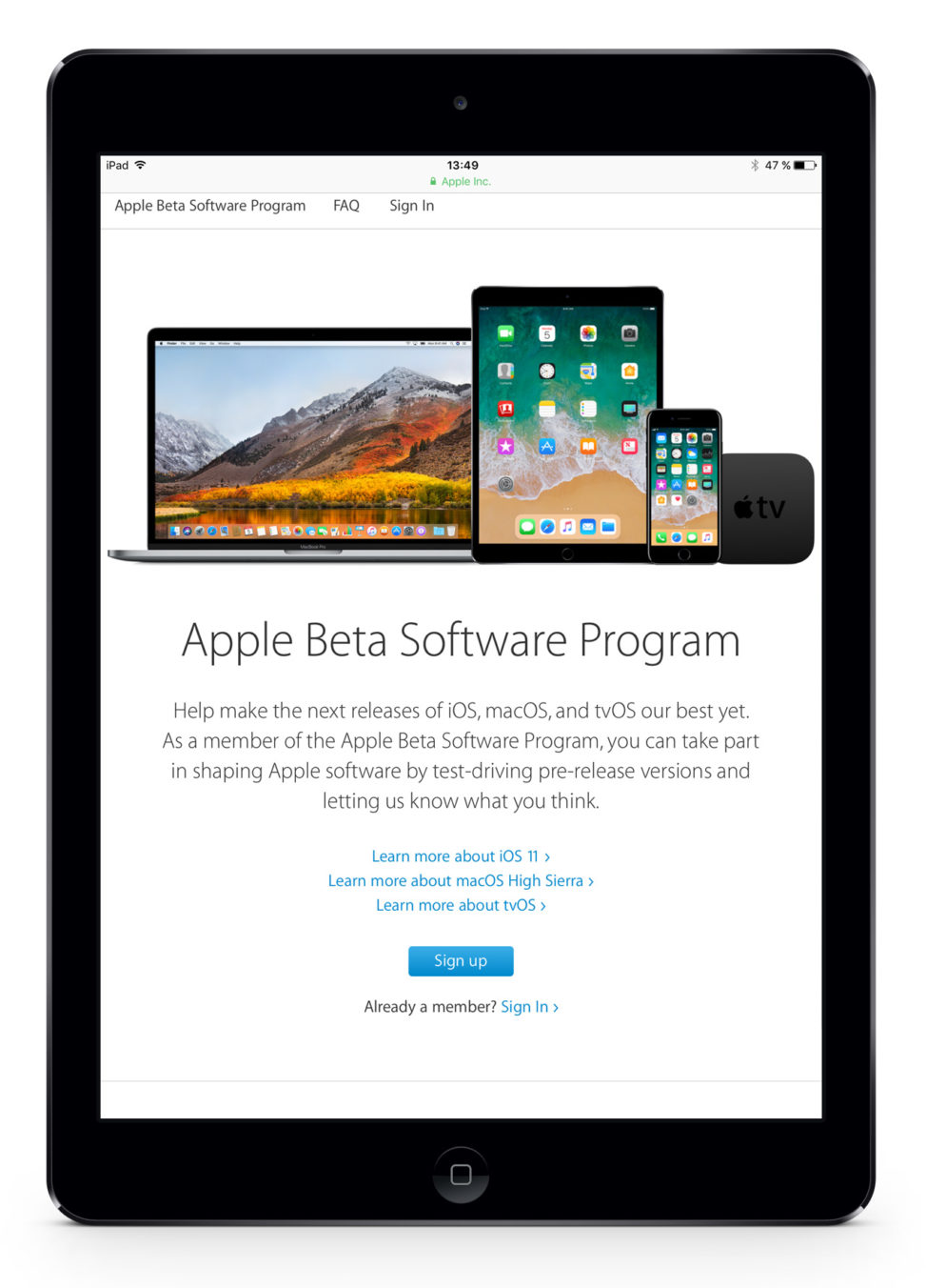 iPad Air Apple beta program